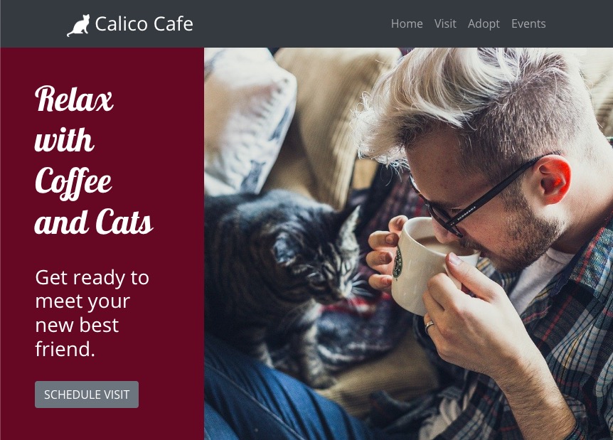 Large view of homepage featuring image of man drinking coffee near a cat