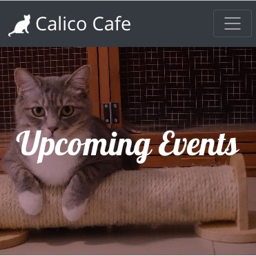 detail of the event page, showing the title Upcoming Events and a cat image